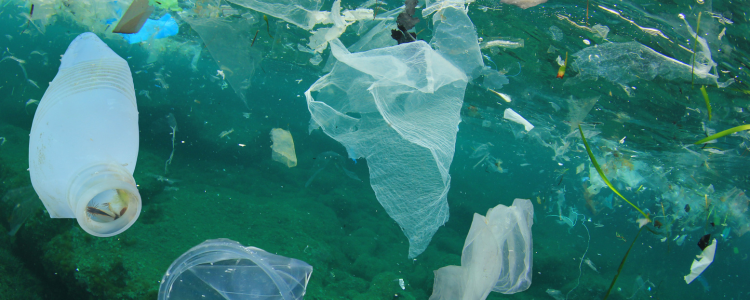 Quels sont les impacts de la pollution sur la fertilité ?