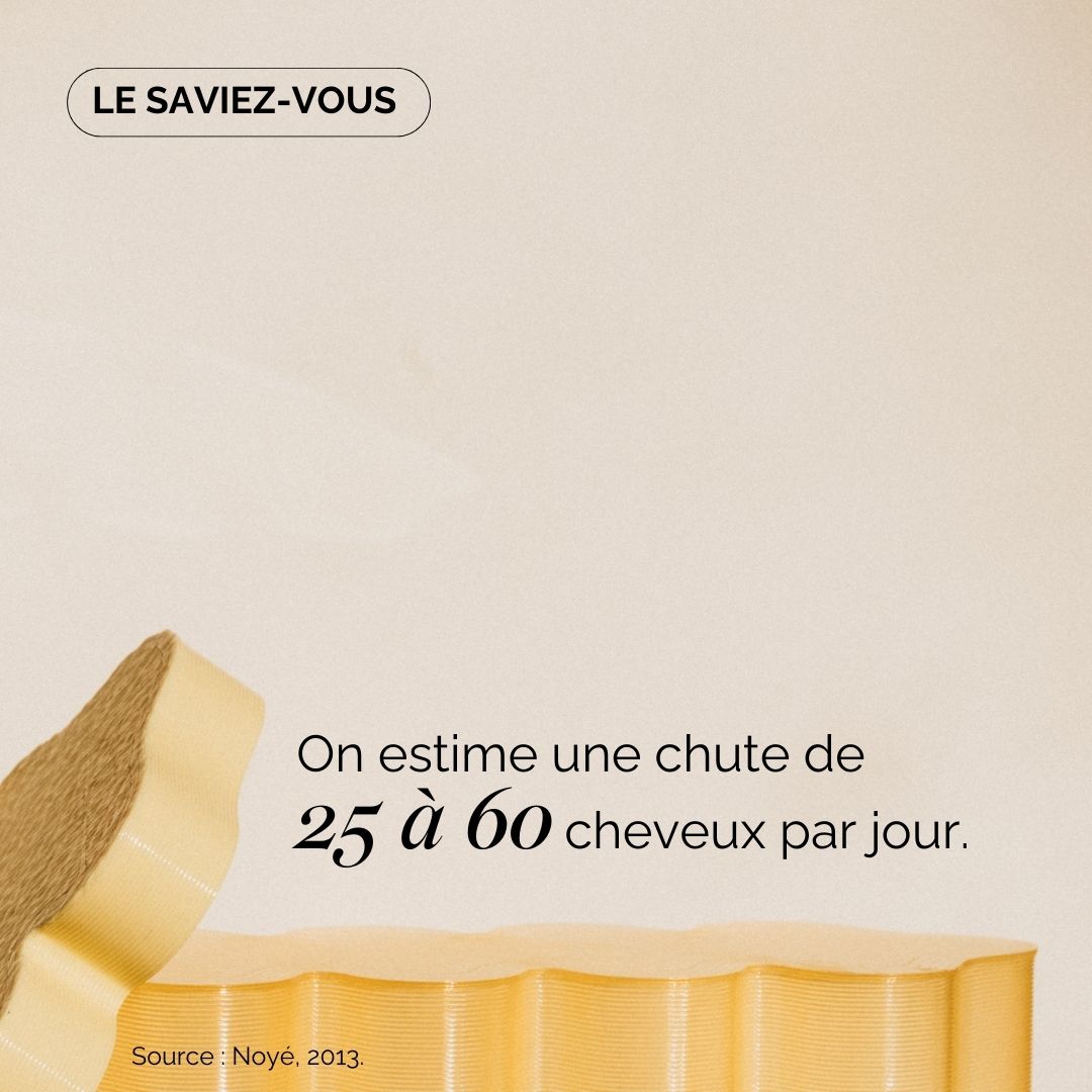 Paquete para piel y cabello