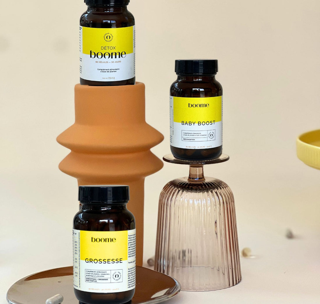 The Preconception Protocol