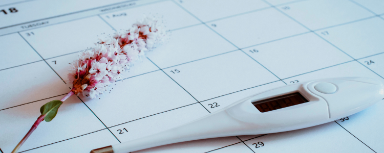 La symptothermie : la gestion de la fertilité au naturel