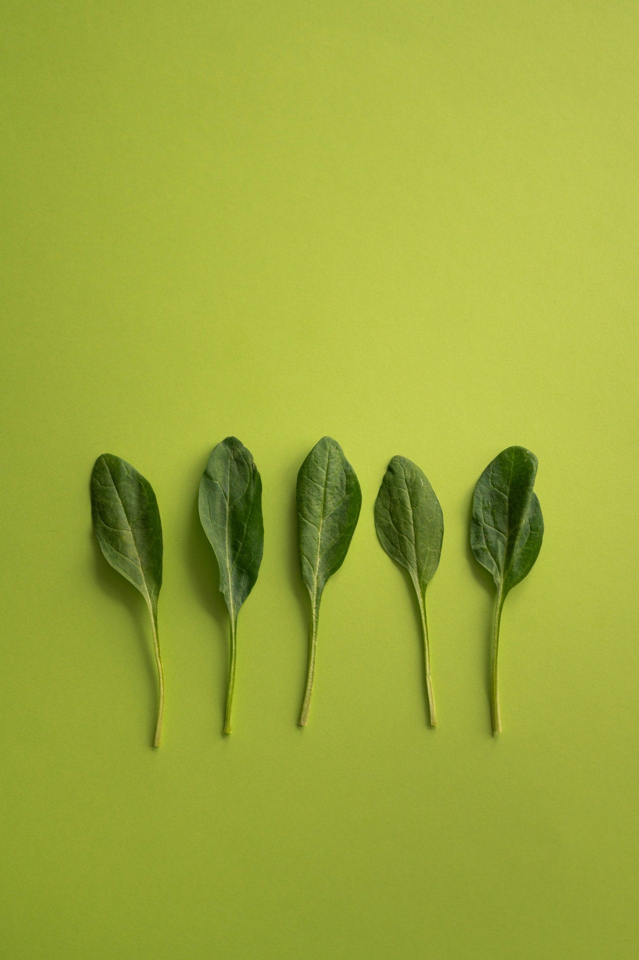 Les épinards contiennent beaucoup de folates, vitamine B9 naturelle cruciale pendant la grossesse.