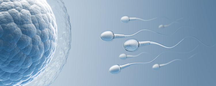 Quand faire votre test de grossesse ?